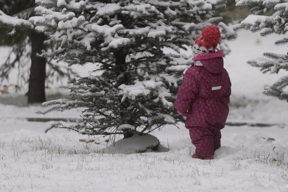 Не ждали. В Пскове выпал первый снег Не ждали. В Пскове выпал первый снег