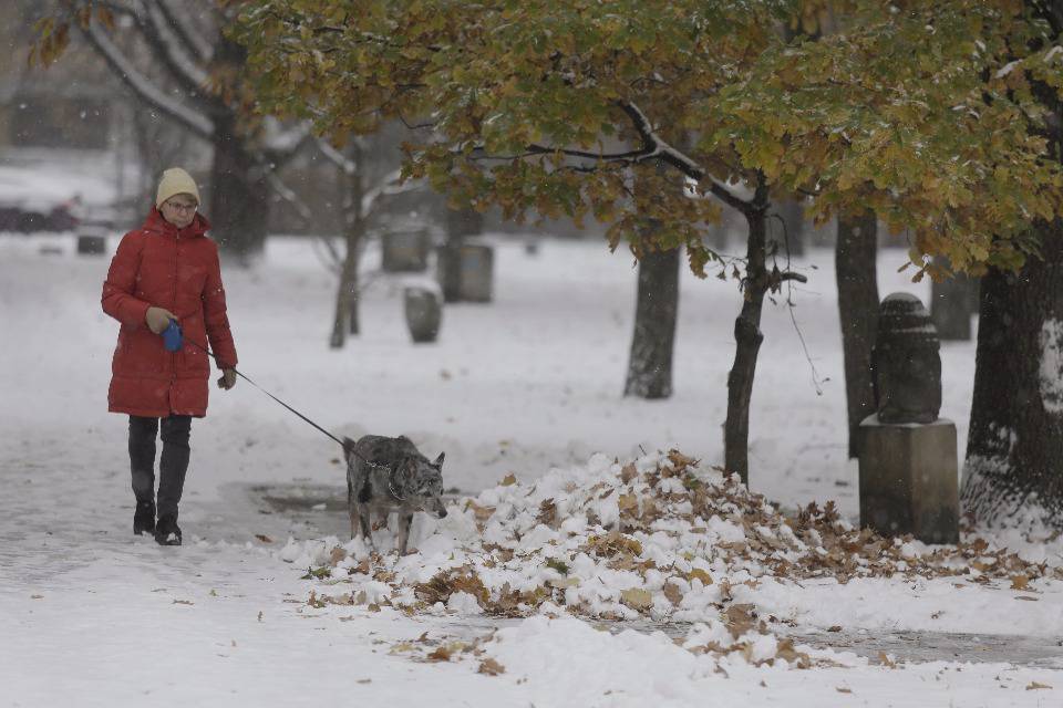Не ждали. В Пскове выпал первый снег Не ждали. В Пскове выпал первый снег