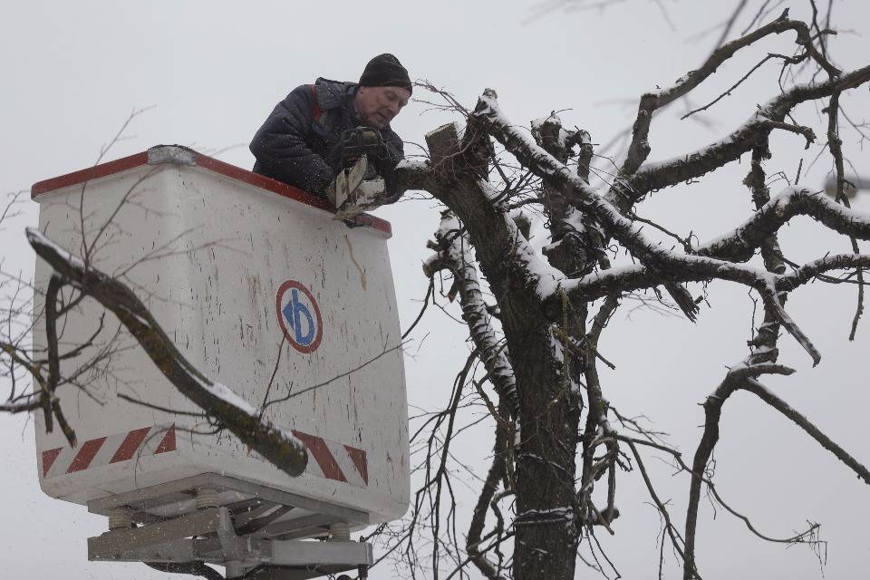 Не ждали. В Пскове выпал первый снег Не ждали. В Пскове выпал первый снег