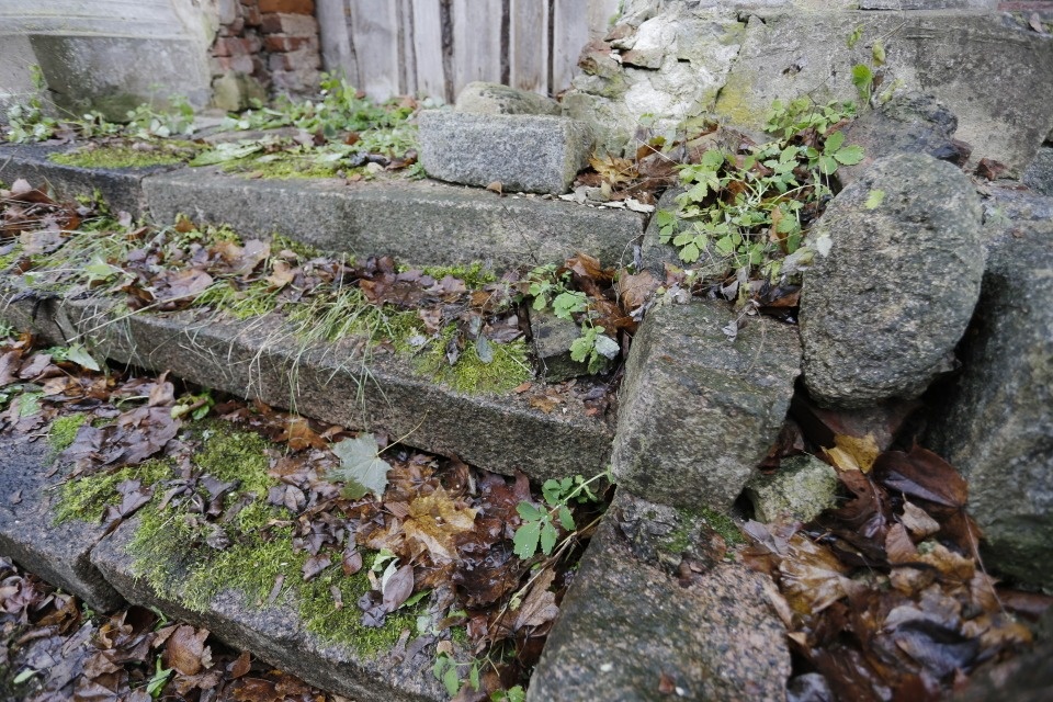Кто спасает фрески в Мелётово