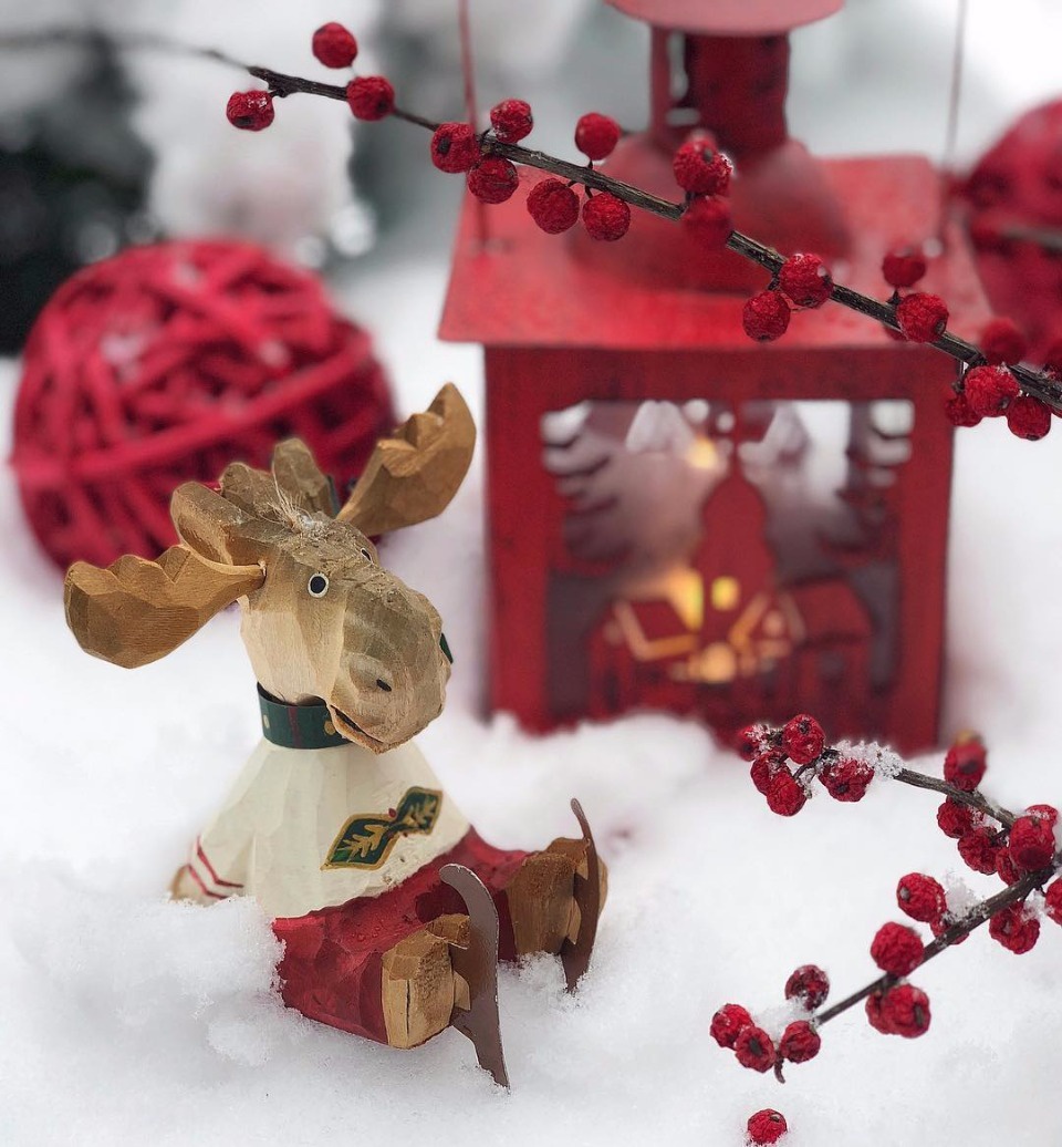 Угодить собаке Угодить собаке