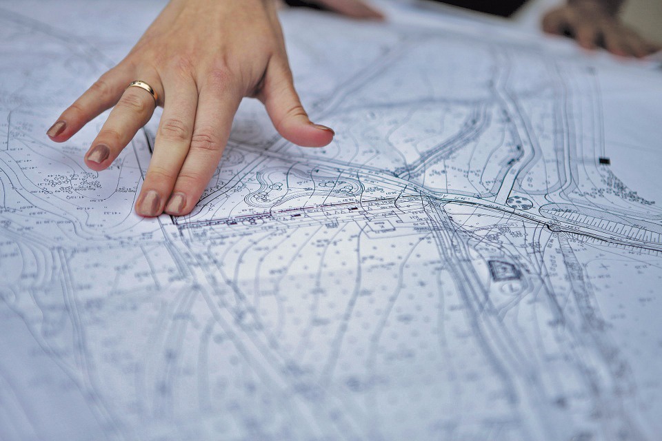 Городской лес превратят в зону отдыха