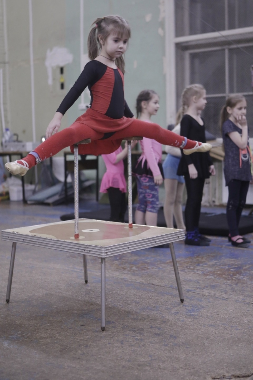 Единственная в Пскове цирковая труппа празднует полувековой юбилей