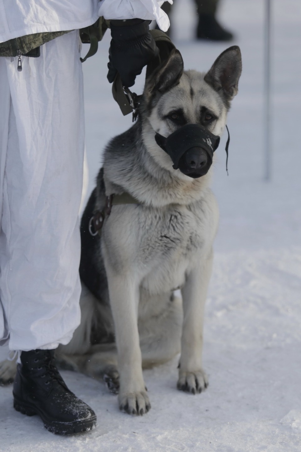 В псковских Крестах реконструировали первый бой Красной армии