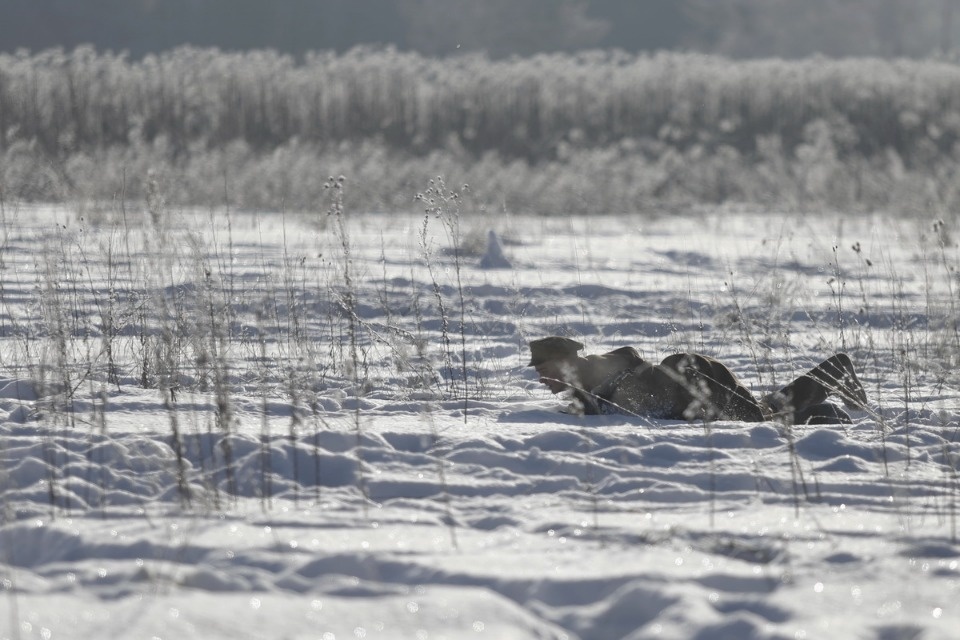 В псковских Крестах реконструировали первый бой Красной армии