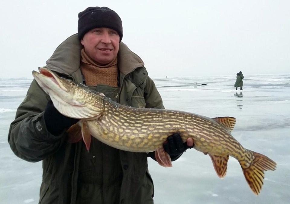 Подарок в Татьянин день