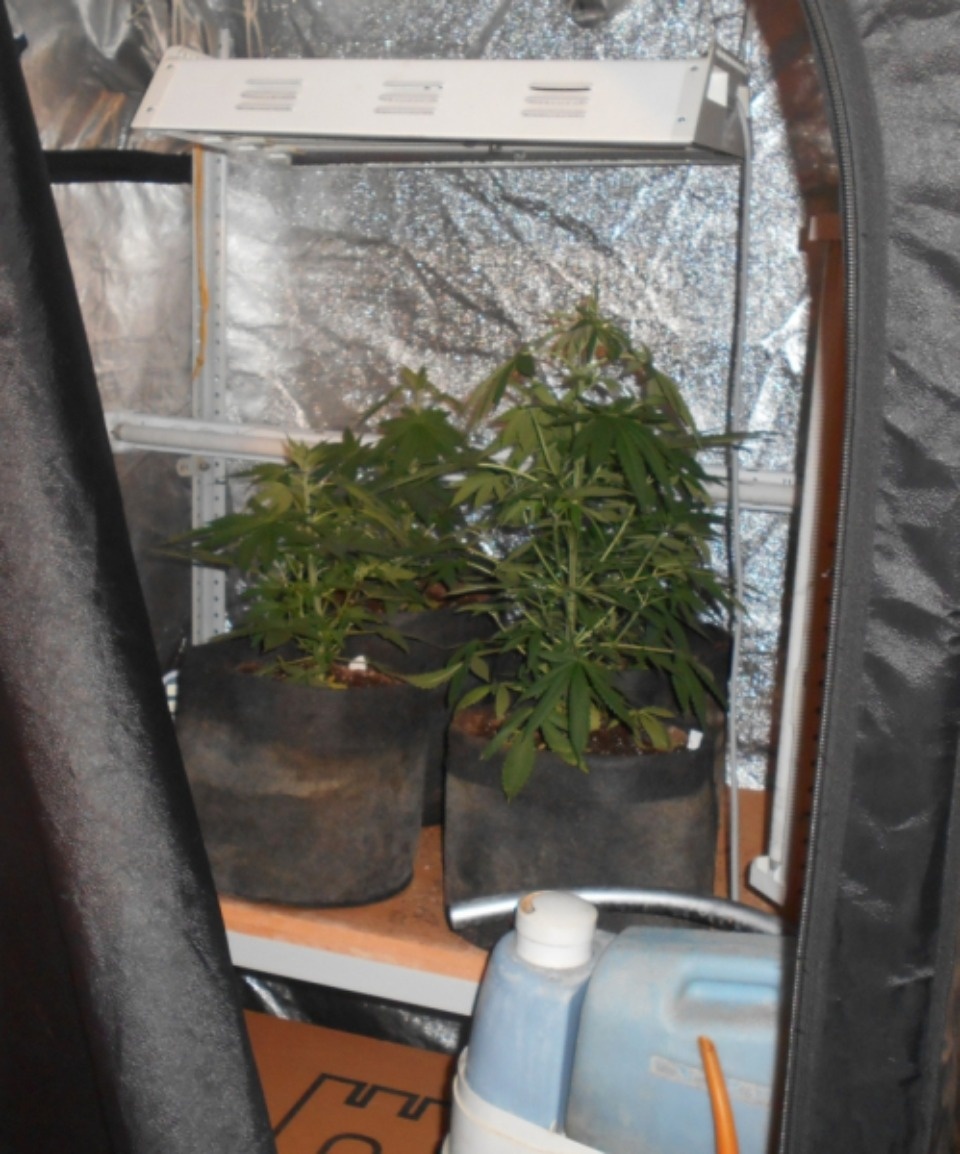 Петербуржец превратил дом в дновской деревне в нарколабораторию