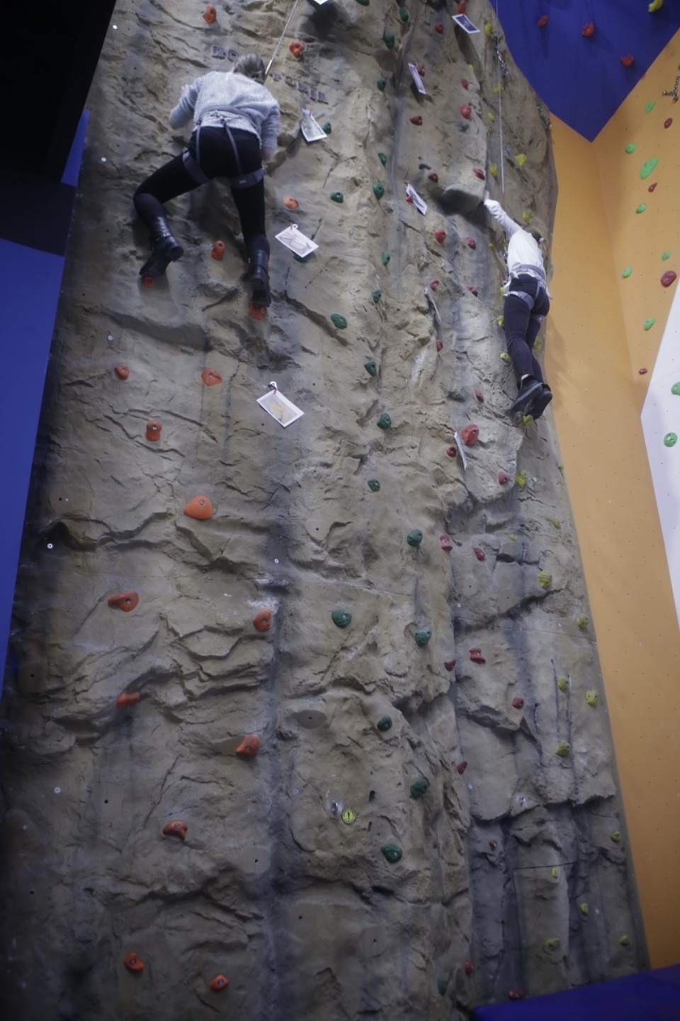 Интеллектуально-спортивный баттл среди студентов устроили в Пскове