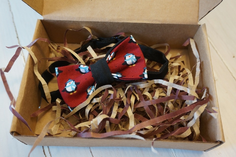 Ольга Погорелова: Наша цель – нести бабочки в массы