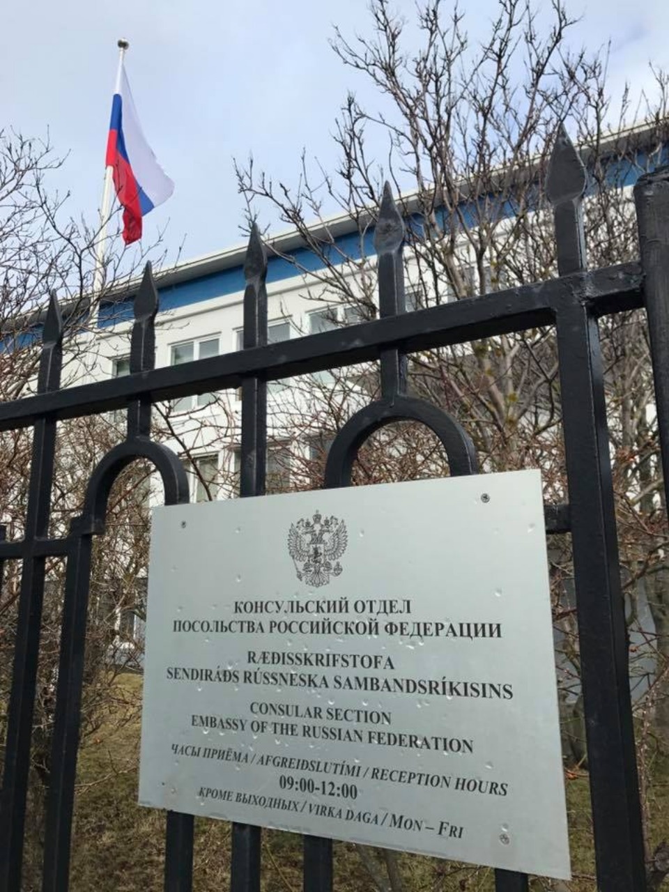 Псковичка Елена Турчина проголосовала на выборах президента России в Исландии