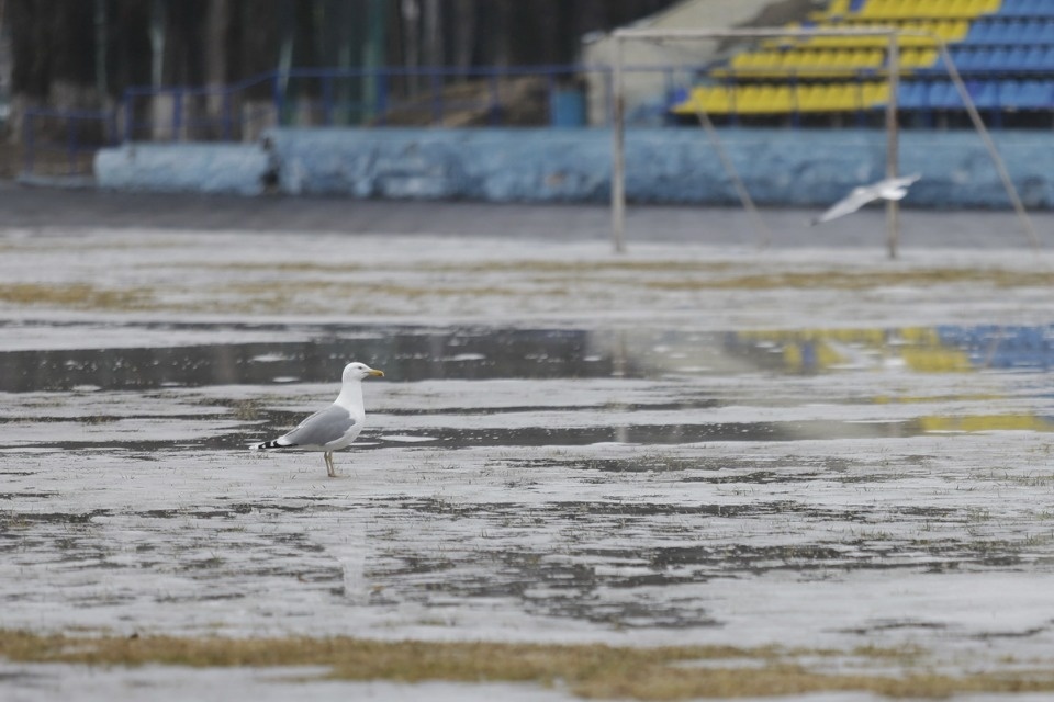 В каком состоянии находится стадион «Машиностроитель»