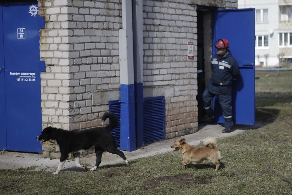 Учения энергетиков в Бежаницком районе.