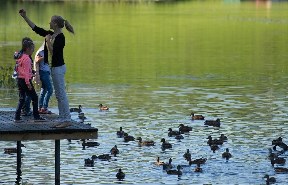 Область-парк