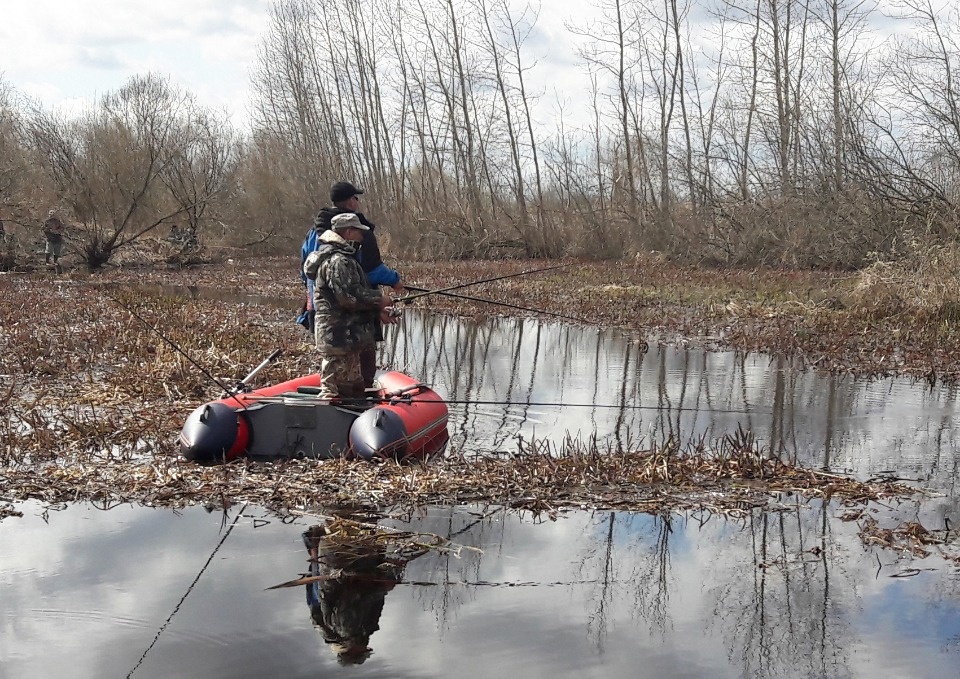 Псковское сафари