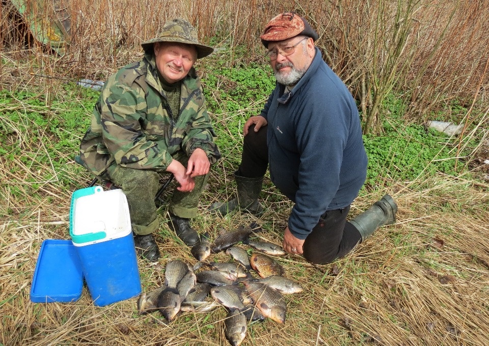 Псковское сафари