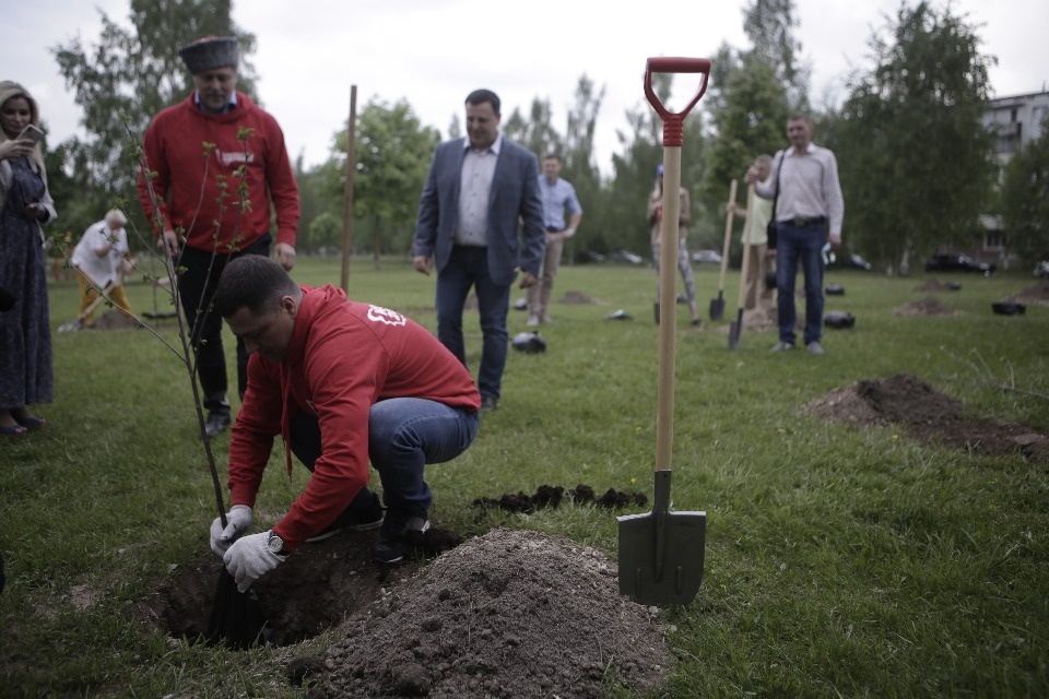 Вишневый сад посадили в Пскове участники проекта #Команда2018 Вишневый сад посадили в Пскове участники проекта #Команда2018