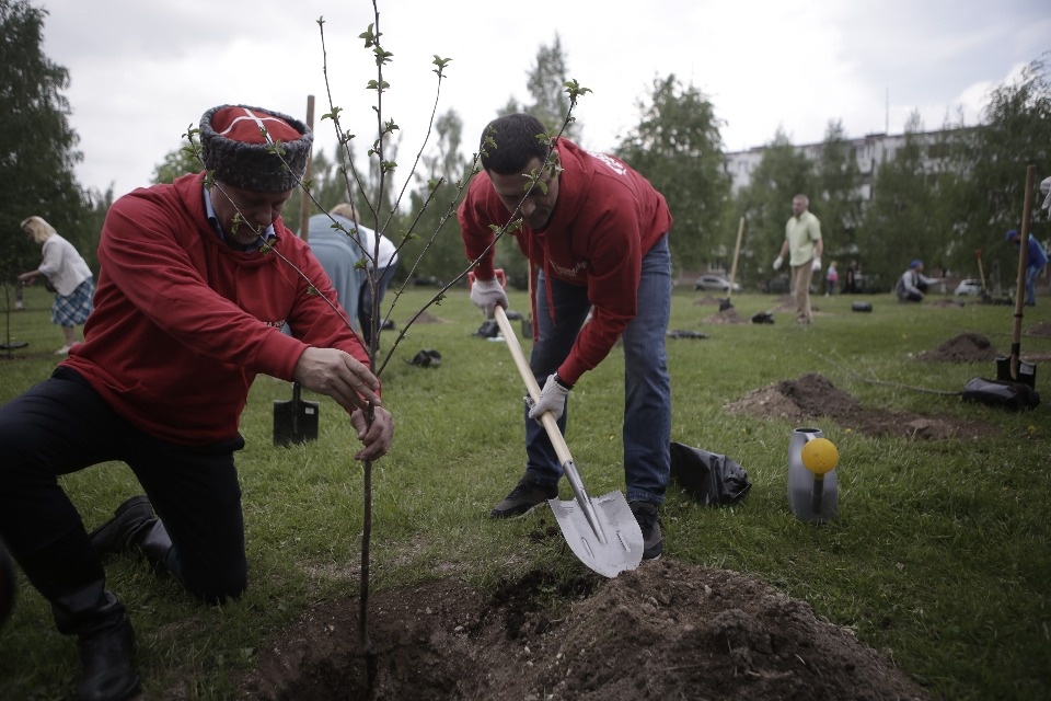 Вишневый сад посадили в Пскове участники проекта #Команда2018 Вишневый сад посадили в Пскове участники проекта #Команда2018