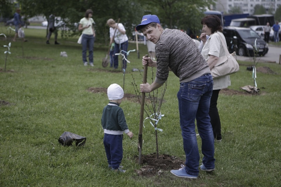 Вишневый сад посадили в Пскове участники проекта #Команда2018 Вишневый сад посадили в Пскове участники проекта #Команда2018