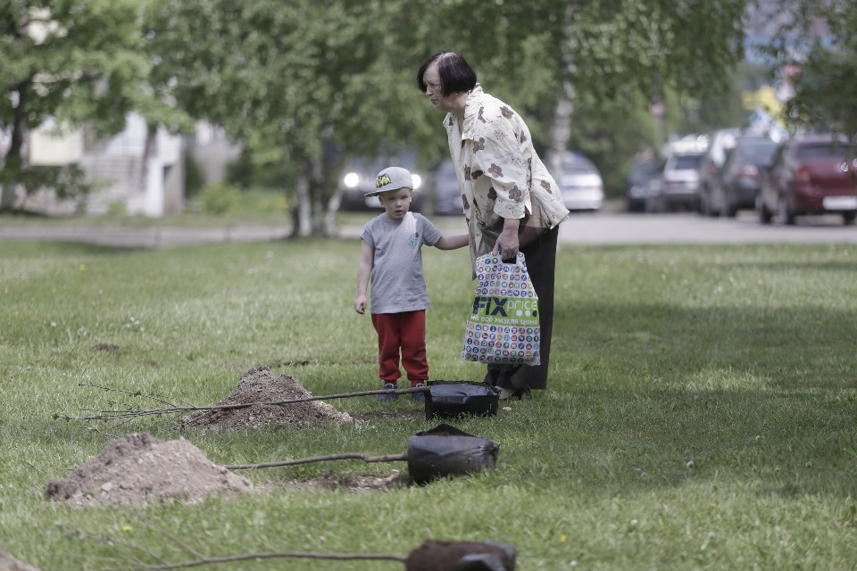 Вишневый сад посадили в Пскове участники проекта #Команда2018 Вишневый сад посадили в Пскове участники проекта #Команда2018