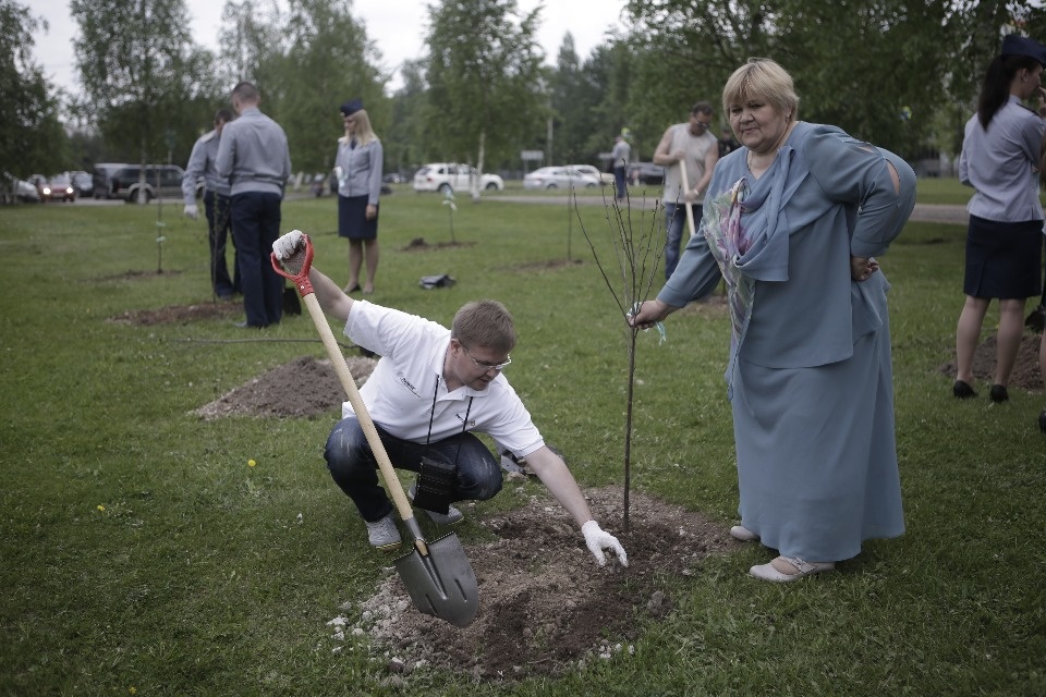Вишневый сад посадили в Пскове участники проекта #Команда2018 Вишневый сад посадили в Пскове участники проекта #Команда2018