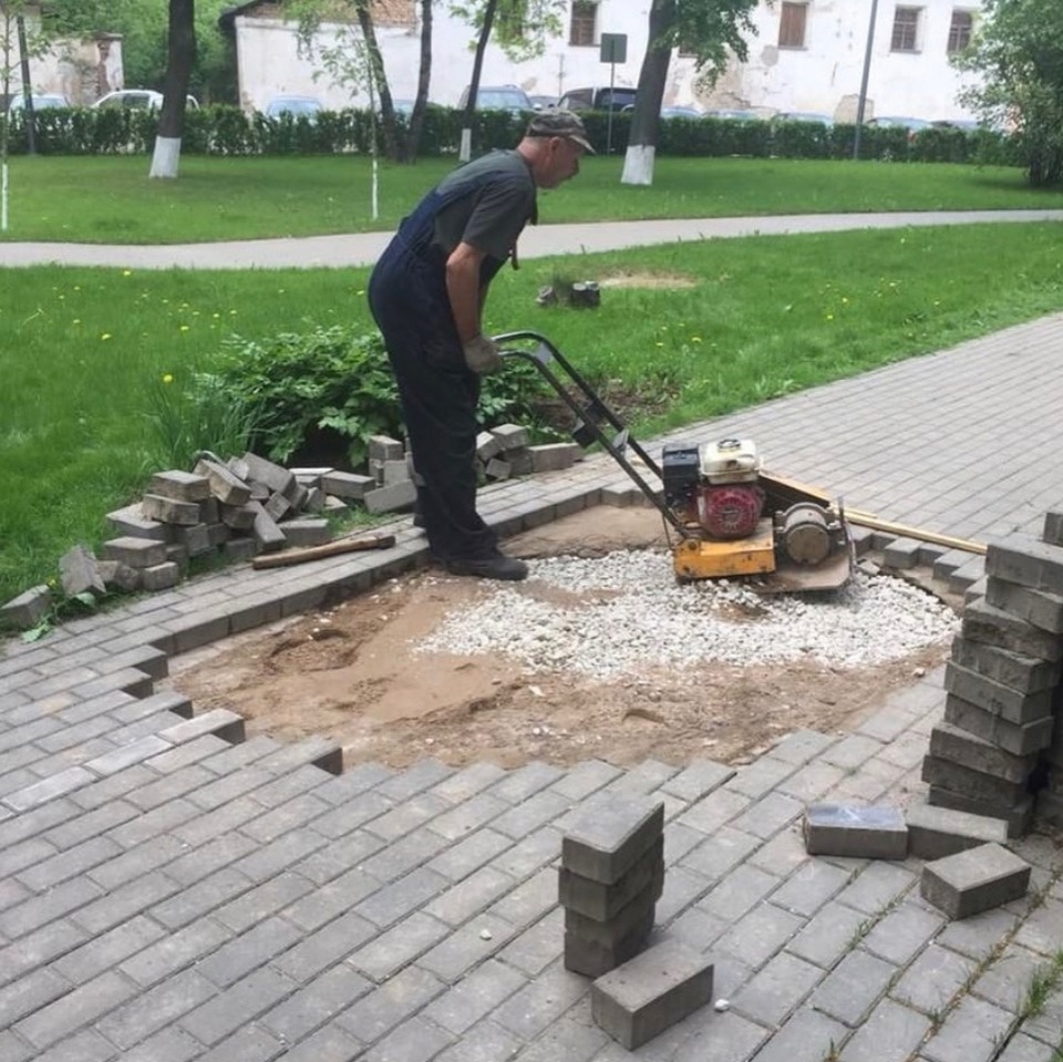 Стимул - реакция