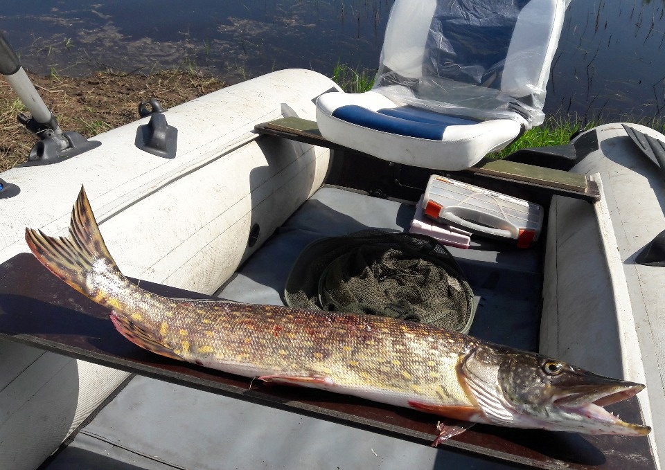 Неправильная весна