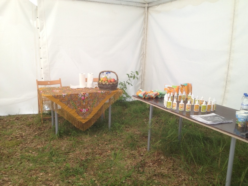 Специальный шатер для мам устроили на Пушкинском празднике поэзии в Михайловском