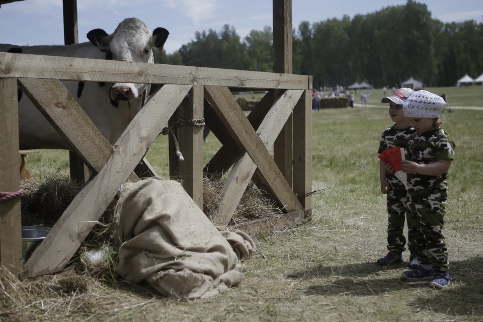 Всероссийский Пушкинский праздник поэзии Всероссийский Пушкинский праздник поэзии