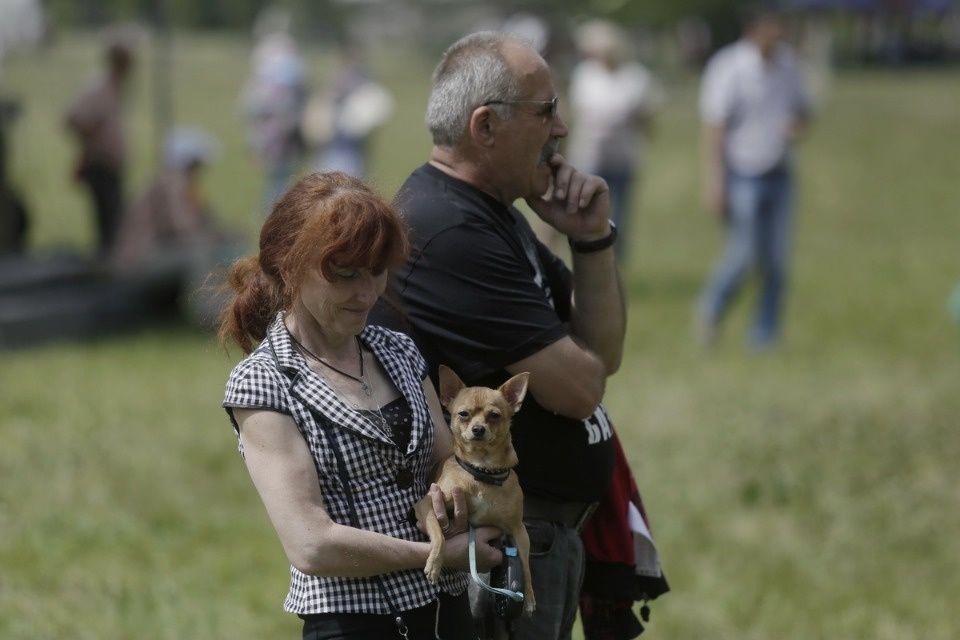 Всероссийский Пушкинский праздник поэзии Всероссийский Пушкинский праздник поэзии