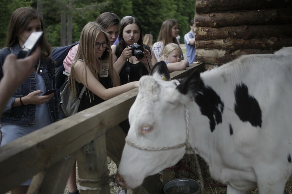Всероссийский Пушкинский праздник поэзии Всероссийский Пушкинский праздник поэзии