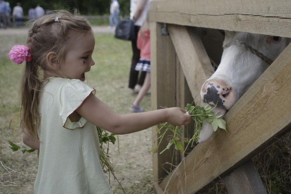 Всероссийский Пушкинский праздник поэзии Всероссийский Пушкинский праздник поэзии