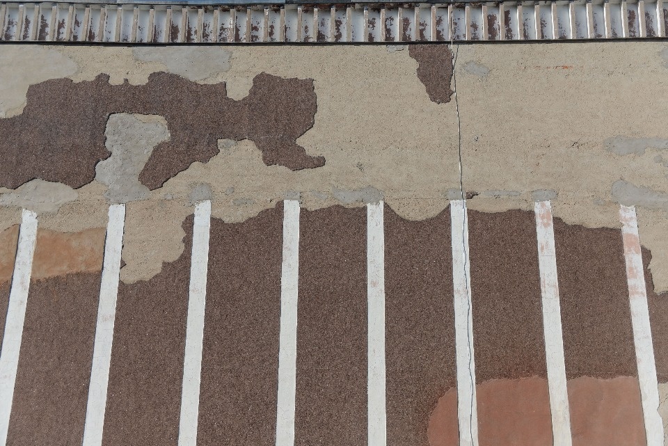 В Книгу рекордов