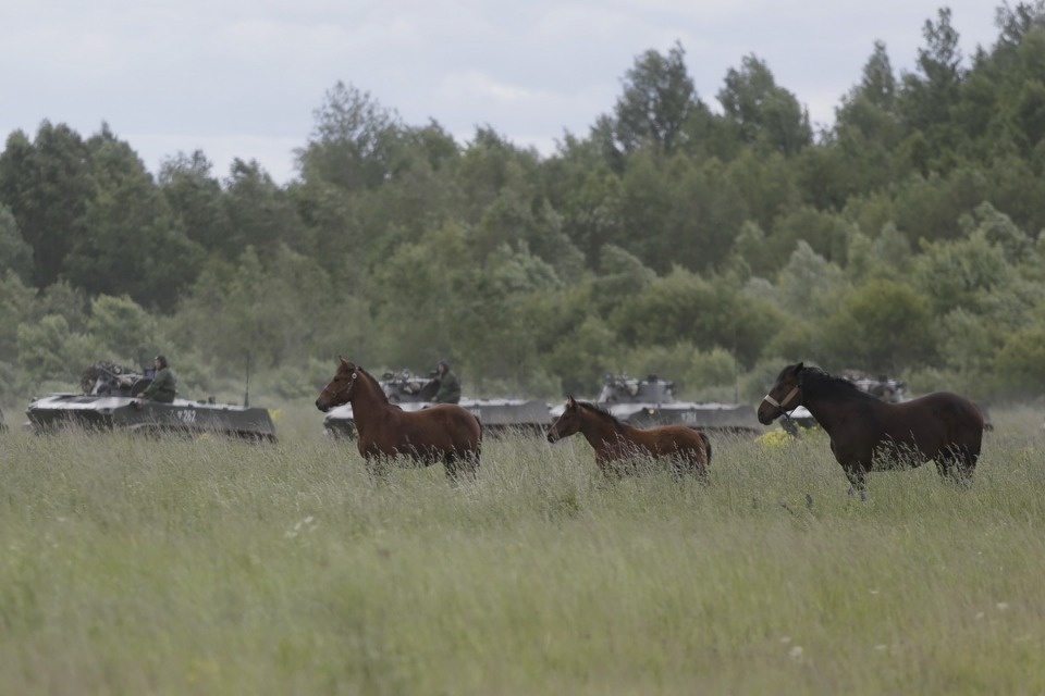 На учениях в Печорском районе десантники уничтожили условных боевиков На учениях в Печорском районе десантники уничтожили условных боевиков