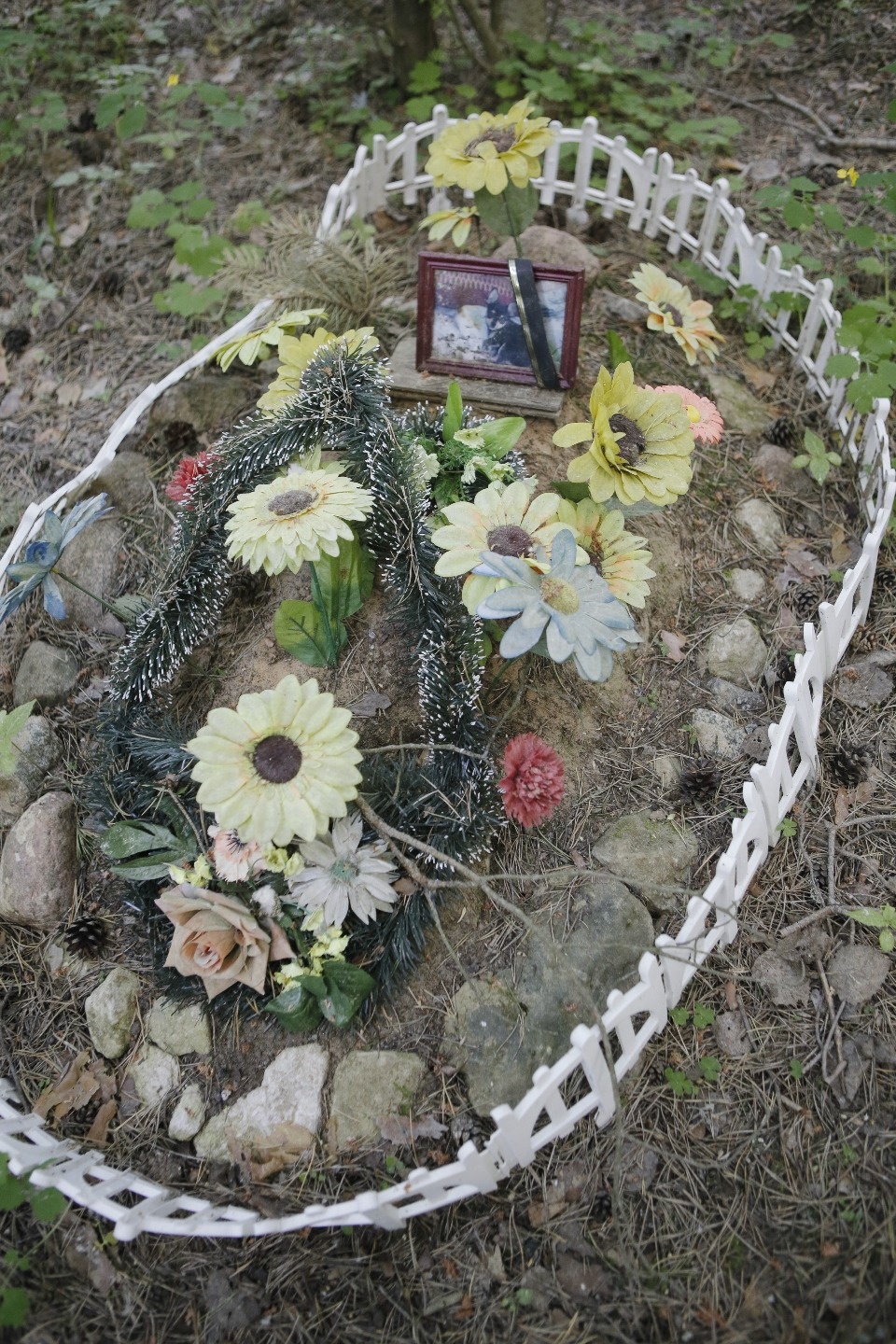 Где псковичи хоронят домашних животных Где псковичи хоронят домашних животных