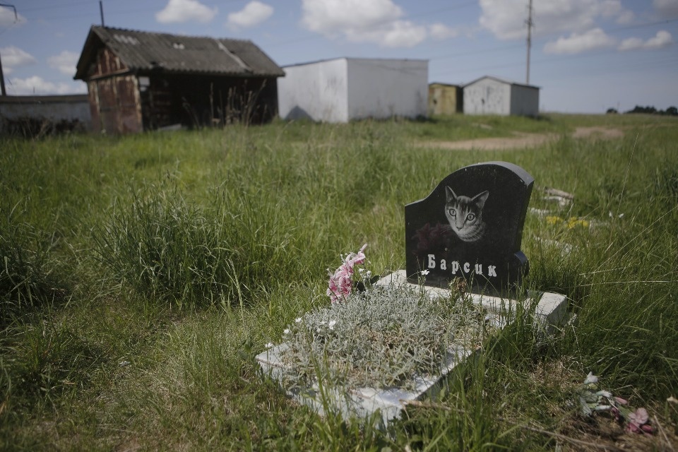 Где псковичи хоронят домашних животных Где псковичи хоронят домашних животных