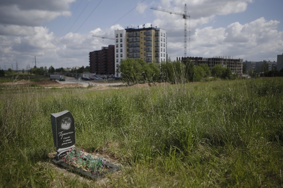Где псковичи хоронят домашних животных Где псковичи хоронят домашних животных