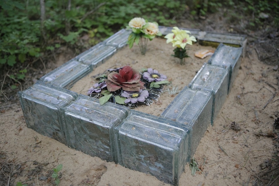 Где псковичи хоронят домашних животных Где псковичи хоронят домашних животных