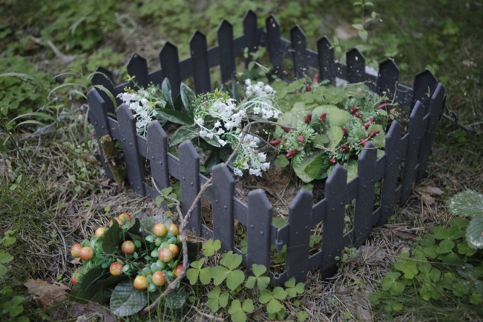 Где псковичи хоронят домашних животных Где псковичи хоронят домашних животных