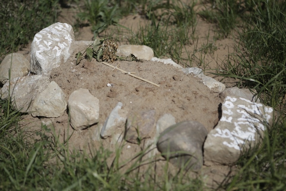 Где псковичи хоронят домашних животных Где псковичи хоронят домашних животных