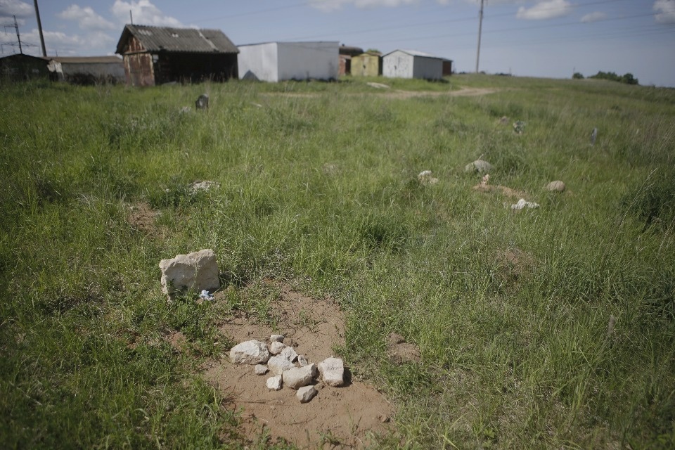Где псковичи хоронят домашних животных Где псковичи хоронят домашних животных