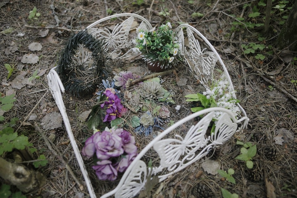 Где псковичи хоронят домашних животных Где псковичи хоронят домашних животных