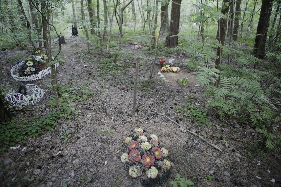 Где псковичи хоронят домашних животных Где псковичи хоронят домашних животных