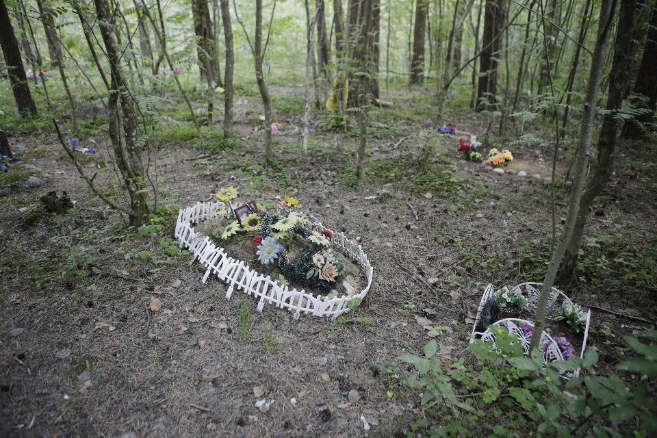 Где псковичи хоронят домашних животных Где псковичи хоронят домашних животных