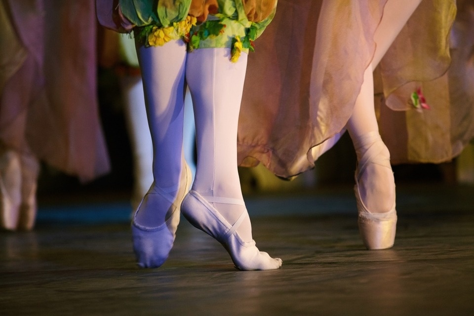 Имперский русский балет выступил в Палкино Имперский русский балет выступил в Палкино