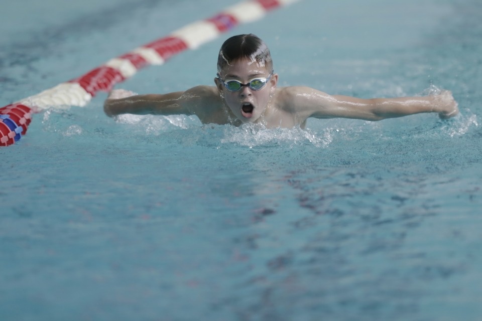 Соревнования по плаванию в бассейне «Барс» Соревнования по плаванию в бассейне «Барс»