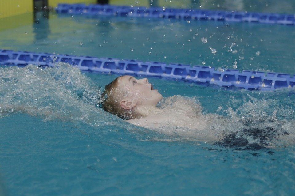 Соревнования по плаванию в бассейне «Барс» Соревнования по плаванию в бассейне «Барс»