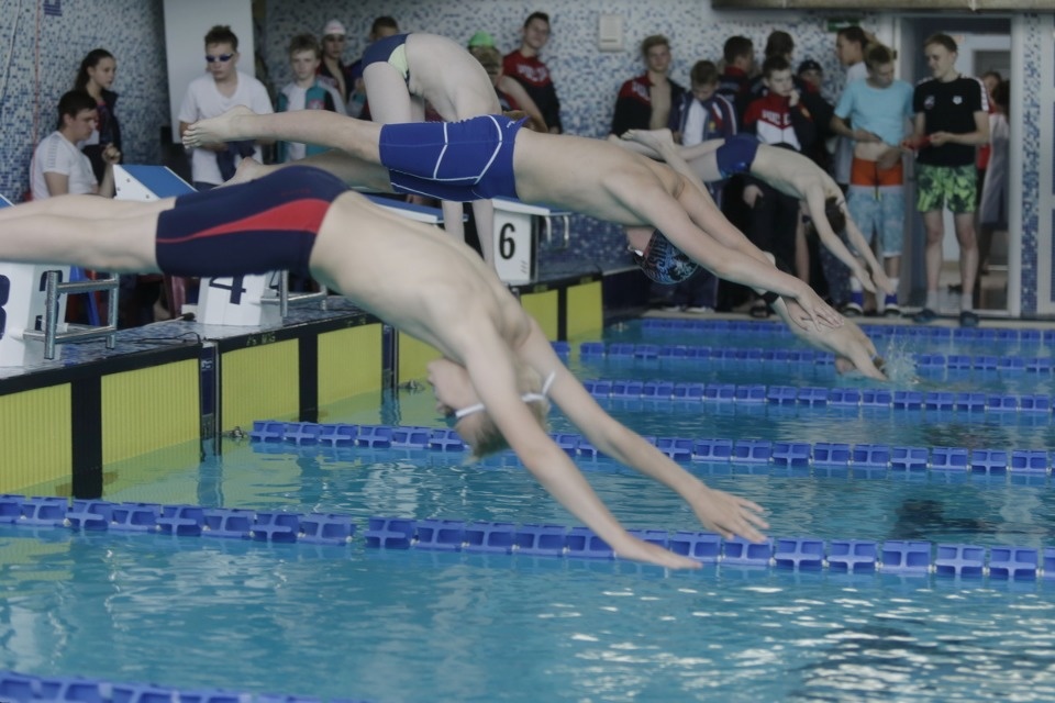 Соревнования по плаванию в бассейне «Барс» Соревнования по плаванию в бассейне «Барс»
