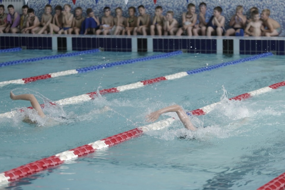 Соревнования по плаванию в бассейне «Барс» Соревнования по плаванию в бассейне «Барс»