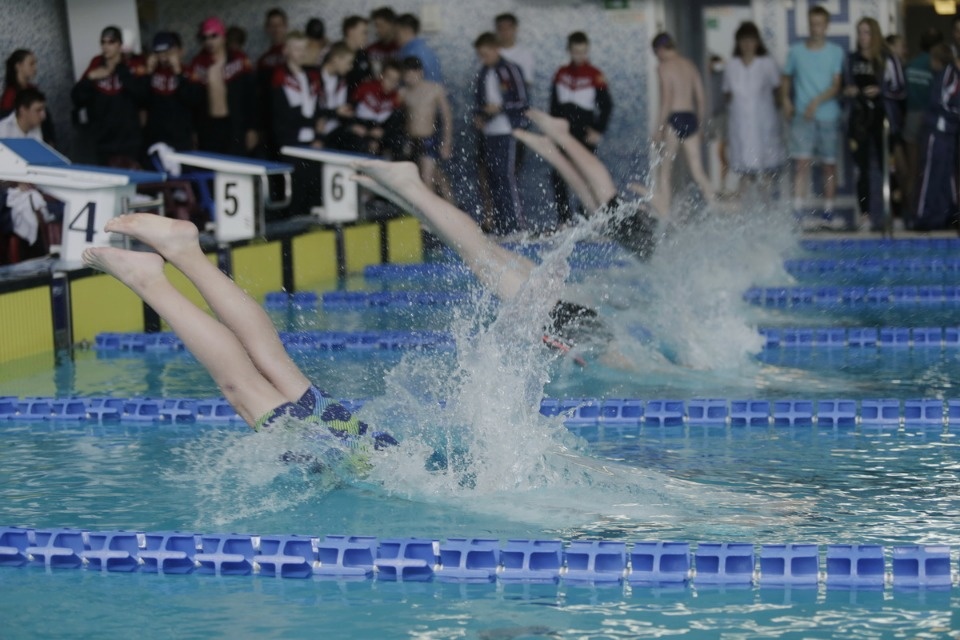 Соревнования по плаванию в бассейне «Барс» Соревнования по плаванию в бассейне «Барс»