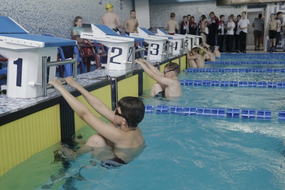 Соревнования по плаванию в бассейне «Барс» Соревнования по плаванию в бассейне «Барс»